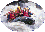 Go with the flow, ride the rapids, or stay out of the boat?