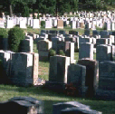 Graves