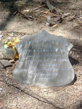 Harold George Daniel