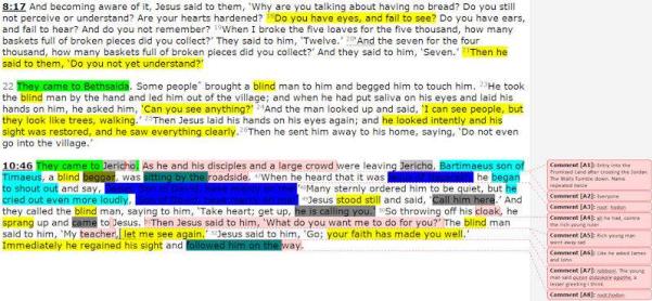 Bible Reading highlighted text