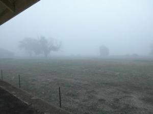Hallet Fog