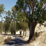 Woodlands Road, SA 2016