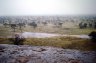 Katjikatjitjara, SA 1978
