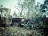 Land Clearing, NSW 1968