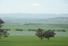 The View from Hilltop, SA 2012