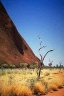 Uluru