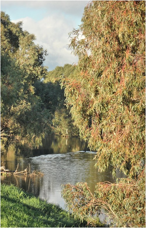 Little Para Wetlands