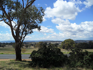 The View back from Young