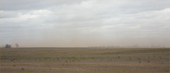 25-dust.jpg