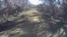 Fire Trail
