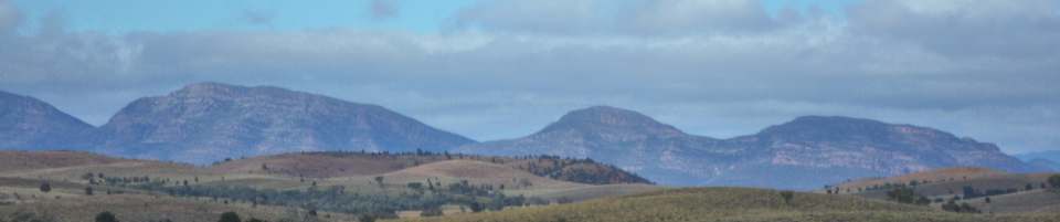 Flinders, looking south to Wilpena Pound November 2014
