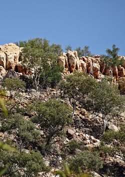 Mountain range