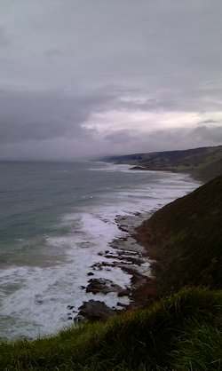The Coast