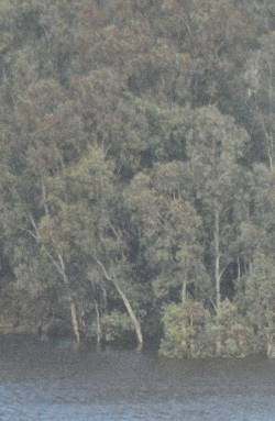 Australian Resevoir