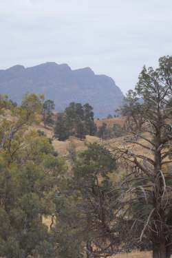 The Elder Range from Moralana Scenic Route Nov 2014