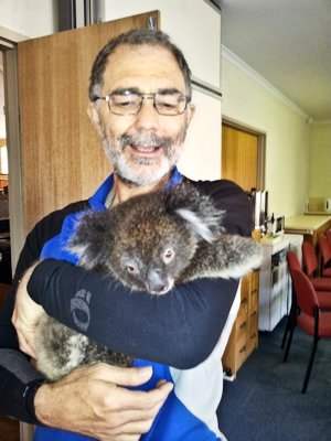 Man holding koala